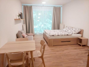 Apartmán IRIS Poděbrady
